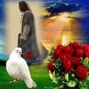 Meet your Posher, Cesar